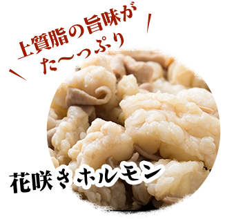 羽犬塚でおすすめの焼き鳥 ホルモンハンバーグ 餃子 もつ鍋を焼酎と堪能